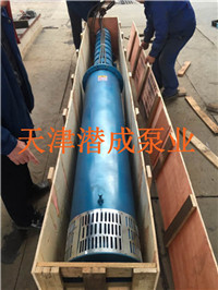 天津躺卧式深水潜水泵-水池用大功率深井泵供应厂家潜成泵业