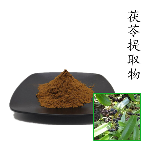 茯苓提取物10:1 散装浓缩粉