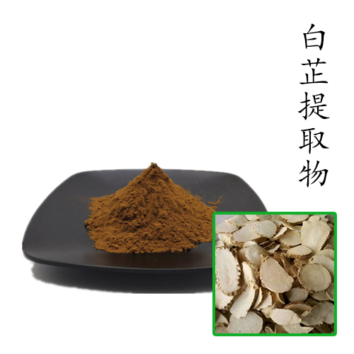 白芷提取物10:1 散装浓缩粉