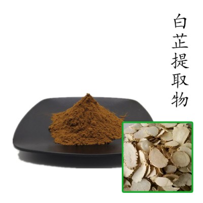 白芷提取物10:1 散装浓缩粉