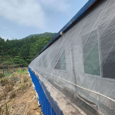 特销猪场防蚊网养猪防虫网透风加厚40目环保无味