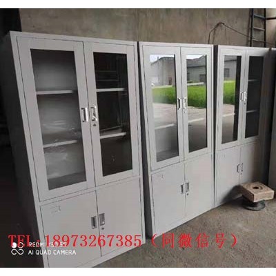 湘潭生产铁皮柜 钢制文件柜 保密文件柜 储物柜厂家