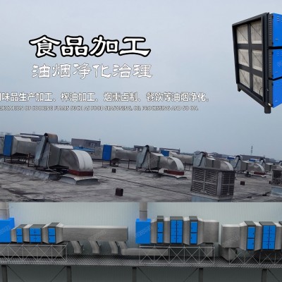 酒店油烟净化器丨餐饮油烟净化设施丨厨房油烟净化设备