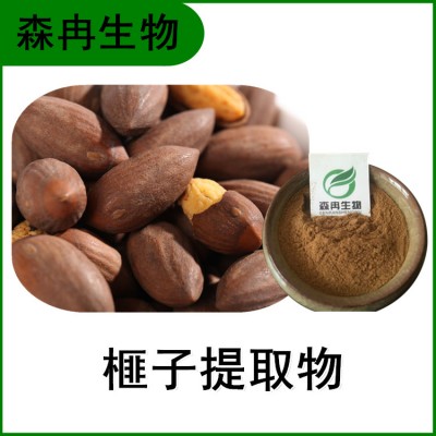 森冉生物 榧子提取物 香榧提取物 植物提取原料粉