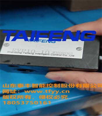 直销泰丰RVP10-10板式单向阀