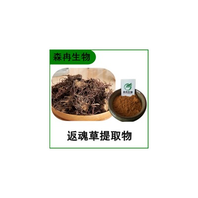 森冉生物 返魂草提取物 青苑提取物 植物提取原料粉