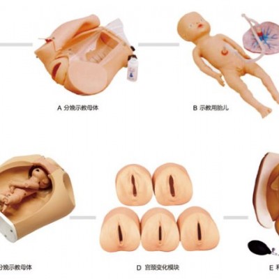 益联医学高级腹部触诊、分娩机转综合模型