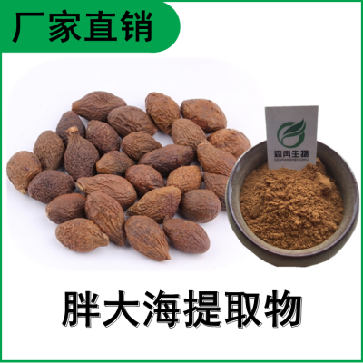 森冉生物 胖大海提取物 大洞果提取物 植物提取原料粉