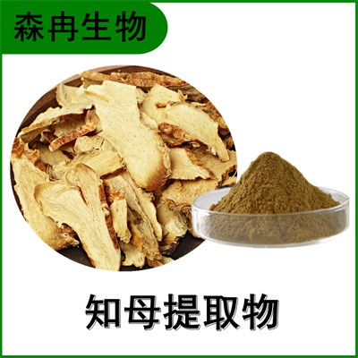 森冉生物 知母提取物 羊胡子根提取物 植物提取原料粉