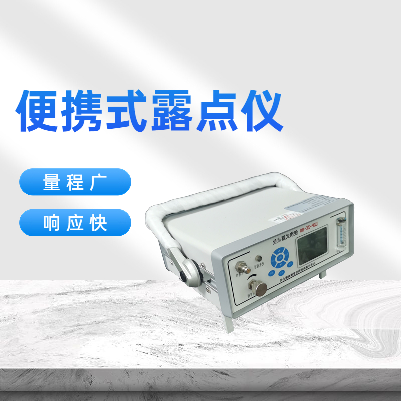 在线式氧气微水测量仪 氮气露点仪