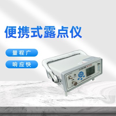 在线式氧气微水测量仪 氮气露点仪