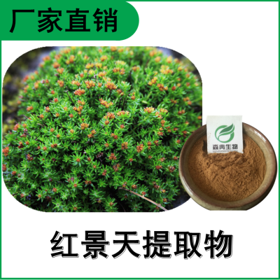 森冉生物 红景天提取物 红景天甙 植物提取原料粉
