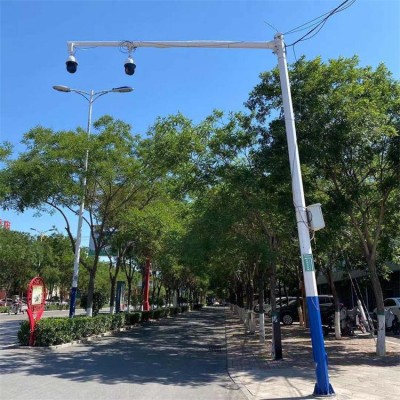 甘肃监控立杆L型道路监控立杆八角杆棱杆