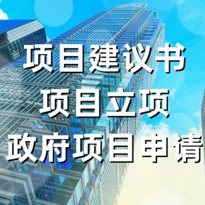 政府项目申报怎么办理？项目申报服务