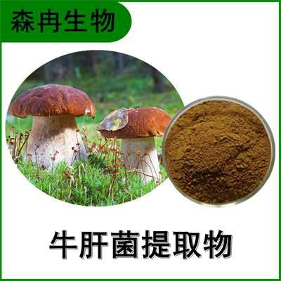 森冉生物 牛肝菌提取物 牛肝菌多糖 多种规格