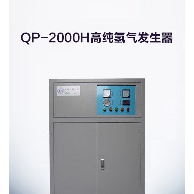 高纯氢气发生器生产厂家价格