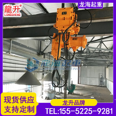 30吨粉尘防爆环链电动葫芦固定式运行式可定制龙海起重工具