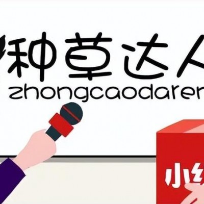 小红书达人种草模型 小红书达人合作方式上海氖天