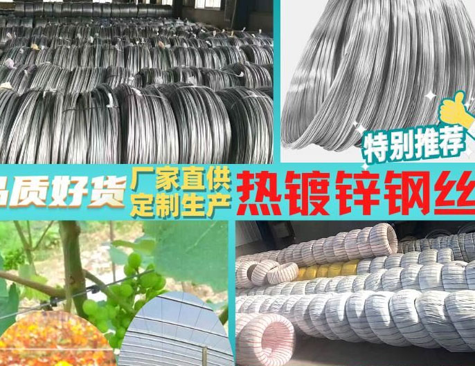 棚架搭架钢丝厂家，农业大棚镀锌钢丝
