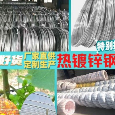 棚架搭架钢丝厂家，农业大棚镀锌钢丝