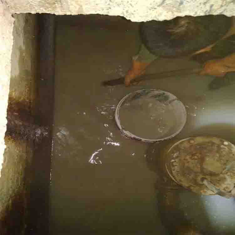 江安园林管道疏通-下水道检测-快速施工