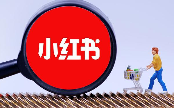 小红书医药营销怎么做 红书医美运营上海氖天