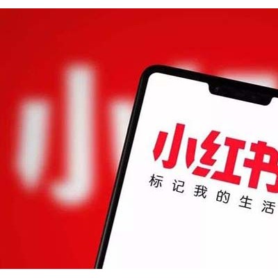 小红书线上推广具体方案 小红书代运营上海氖天