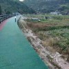 浙江丽水缙云大洋乡缘农家乐预订价格
