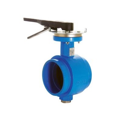 美国Mueller Steam Specialty过滤器
