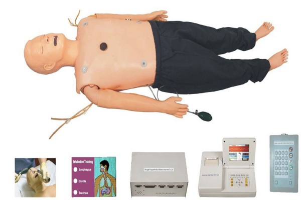 KAY/ACLS800A高级多功能急救训练模拟人CPR模型人