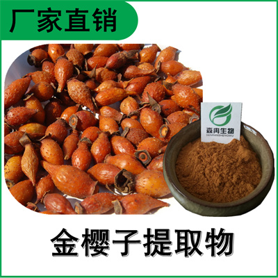 森冉生物 金樱子提取物 刺榆子提取物 植物提取原料粉