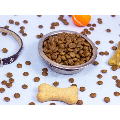 宠物食品进口报关