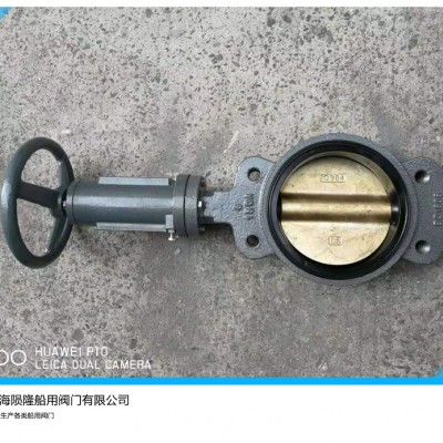 船用中心型螺旋式手动蝶阀 CG-CSD2