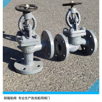 船用法兰铸钢铜板截止止回阀 GB/T1853-2008
