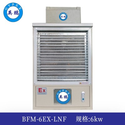 英鹏防爆暖风机6kw  BFM-6EX-LNF