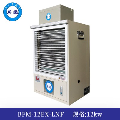 英鹏防爆暖风机12kw  BFM-12EX-LNF