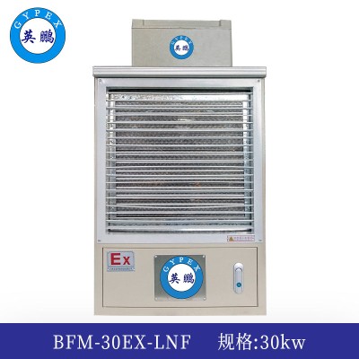 英鹏防爆暖风机30kw  BFM-30EX-LNF