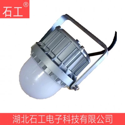 NFC9187 18W防水防尘防腐LED泛光灯
