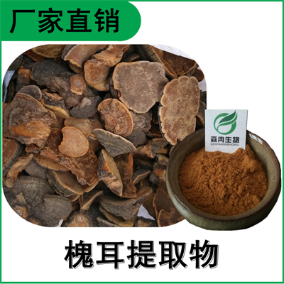 森冉生物 槐耳提取物 槐菌提取物 槐耳多糖