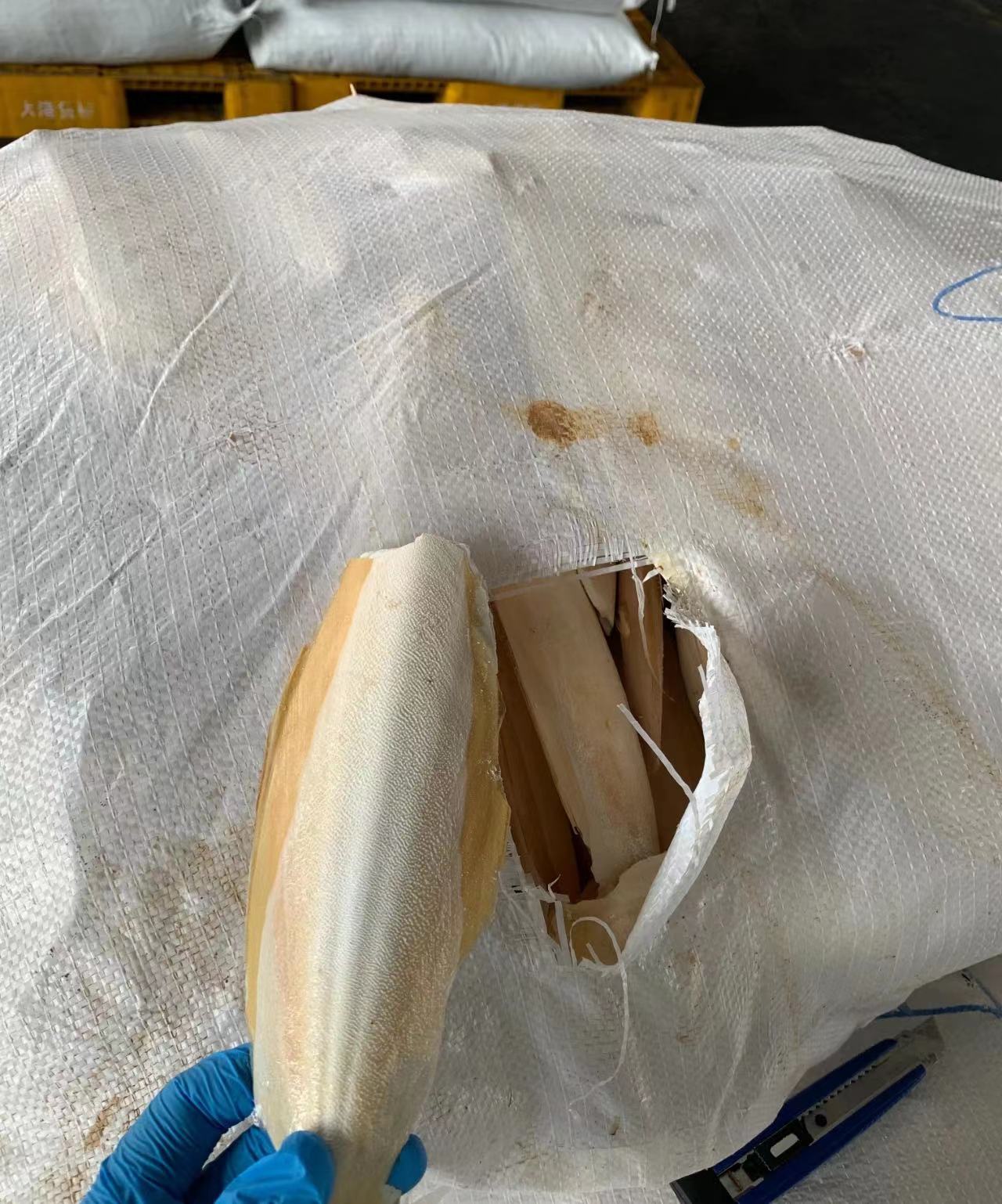 天津墨鱼骨进口代理公司