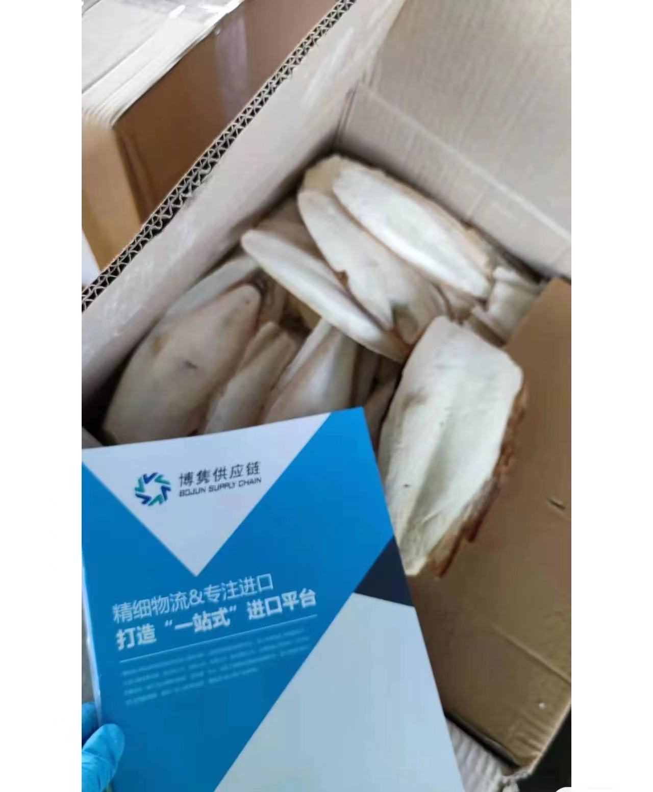 天津港进口墨鱼骨清关代理