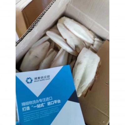天津港进口墨鱼骨清关代理