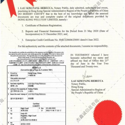 股东名单Apostille海牙认证-圣马利诺认证