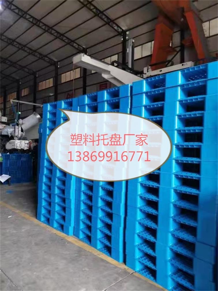 临沂塑料垫板生产，山东双龙塑料托盘1111