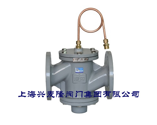 上海兴麦隆 DPZYC自力式压差控制阀 法兰连接 流量控制
