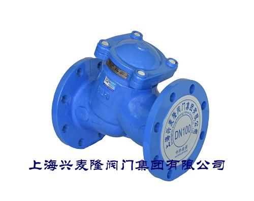 上海兴麦隆 GL41法兰Y型过滤器 球墨铸铁材质