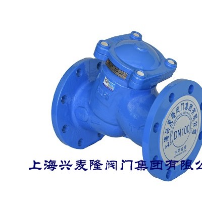 上海兴麦隆 GL41法兰Y型过滤器 球墨铸铁材质