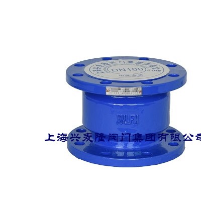 上海兴麦隆 CVXS法兰消声止回阀 球墨铸铁材质
