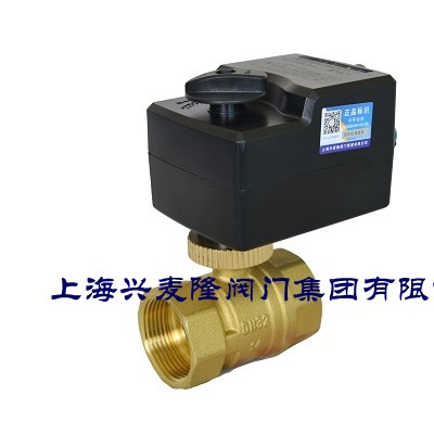 上海兴麦隆 BV2054电动调节球阀 内螺纹连接 噪音低