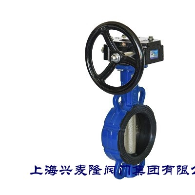 上海兴麦隆 CB6100W蜗轮对夹式中线蝶阀